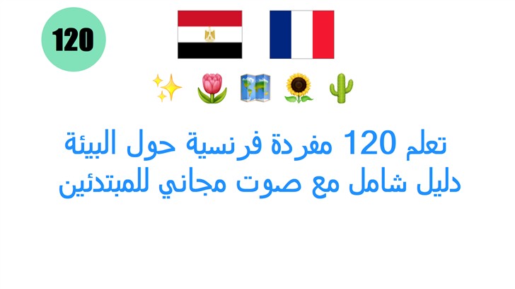 تعلم 120 مفردة فرنسية حول البيئة: دليل شامل مع صوت مجاني للمبتدئين